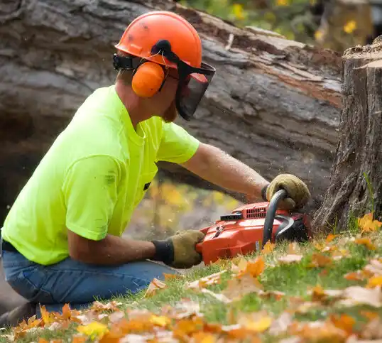 tree services Titusville